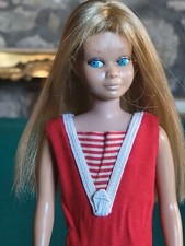 Skipper vintage 1964 usato  Allerona