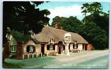 Postcard cat fiddle for sale  TEWKESBURY