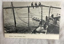Vintage postcard salmon for sale  Trumbull