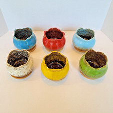 Mini bowl succulent for sale  Alliance