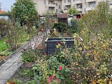 Verkaufe kleingarten 200m2 gebraucht kaufen  Leipzig