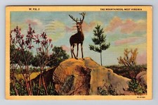 Cartão postal vintage WV-West Virginia, The Mountaineer, Deer on Rocks comprar usado  Enviando para Brazil