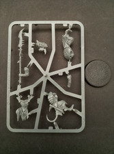 Warhammer age sigmar for sale Warhammer age sigmar for sale  CREDITON