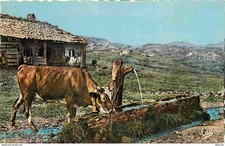 Animaux vaches alpes d'occasion  Fruges