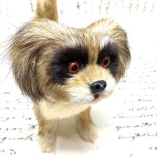 pomeranian dog puppy for sale pomeranian dog puppy for sale FELIXSTOWE