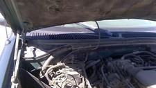 1999 ford expedition for sale  Brush