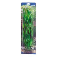 Vallisneria 34cm plante d'occasion  Expédié en France