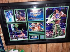 Wwe naomi trinity for sale  Chaska