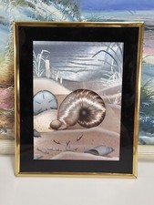 Nautilus shell foil for sale  Davenport