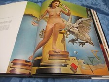 Serna salvador dali gebraucht kaufen  Isernhagen