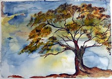 Bild aquarell riginal gebraucht kaufen  Göppingen