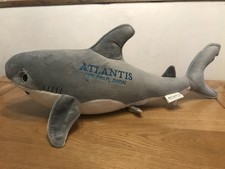 Palm great white for sale  BELFAST