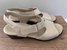 Sas suntimer ivory for sale  Inman