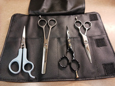 Professional barber scissors for sale  Homosassa
