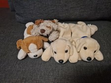 Haustiere gebraucht kaufen  Schwalbach