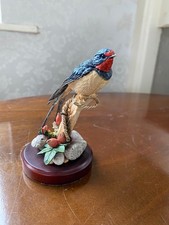 Country artists swallow for sale  WIGTON