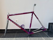Colnago tecnos rahmen gebraucht kaufen  Jestetten