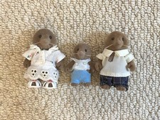 Sylvanian families clearwater for sale  NORTHAMPTON