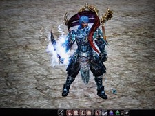 Metin2 emerald lvl gebraucht kaufen  Düren