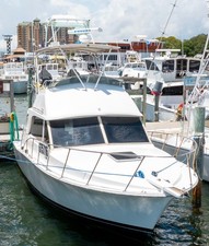 1984 bertram flybridge for sale  Destin