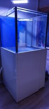 aquarium 80x gebraucht kaufen aquarium 80x gebraucht kaufen Zeulenroda-Triebes