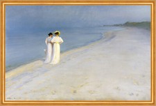 Summer evening skagens gebraucht kaufen  Grabenstätt
