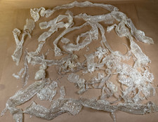Corn snake skin for sale  Flourtown