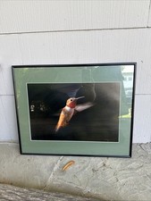 Large vtg hummingbird for sale  Fort Worth