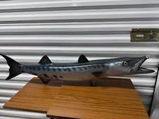 Barracuda taxidermy vintage for sale  Federal Way