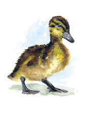Splashy duckling watercolor for sale  Greensboro