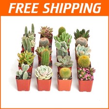 Hardy assorted mini for sale  Voorhees