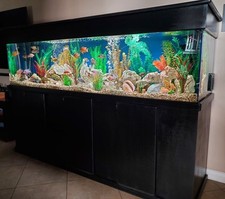 240 gallon foot for sale  Walnut