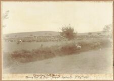 Devon somerset staghounds for sale  CAMBRIDGE