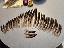 Fs2 lot hybrid for sale  Hill City