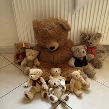 Teddybären einer sammlung gebraucht kaufen Teddybären einer sammlung gebraucht kaufen  Büttelborn