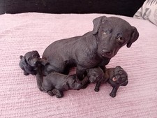 Leonardo black labrador for sale  DURSLEY