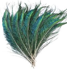 Pcs peacock sword for sale  KINGTON