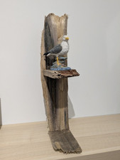 driftwood art for sale driftwood art for sale BOGNOR REGIS