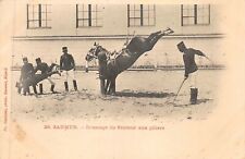 Saumur dressage sauteur d'occasion  France