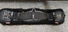Mieux integrated dressage for sale Mieux integrated dressage for sale  NOTTINGHAM