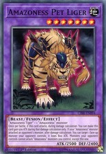 Cibr en094 amazoness d'occasion  Puget-Théniers