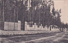 Etiopia addis abeba usato  Roma
