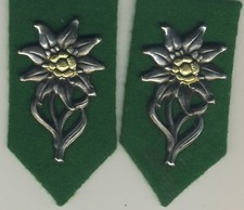 Coppia mostrine esercito usato  Sesto Fiorentino