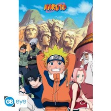 Naruto shippuden gruppe gebraucht kaufen  Regensburg