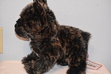 Billie french bulldog for sale  Yuba City