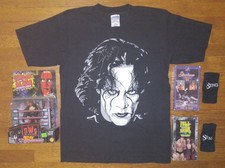 Wcw sting lot for sale  Pittsburgh