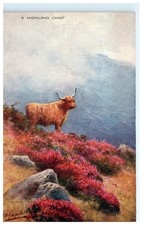 Vintage highland chief for sale  Glastonbury
