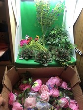 Künstliche pflanzen terrarium gebraucht kaufen  Gangkofen