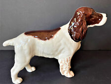 Brown white spaniel for sale  Pittstown