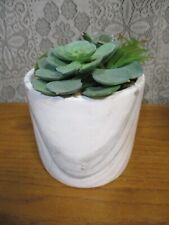 Artificial faux succulent for sale  Waterloo